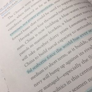 Meet your Posher, Bailey